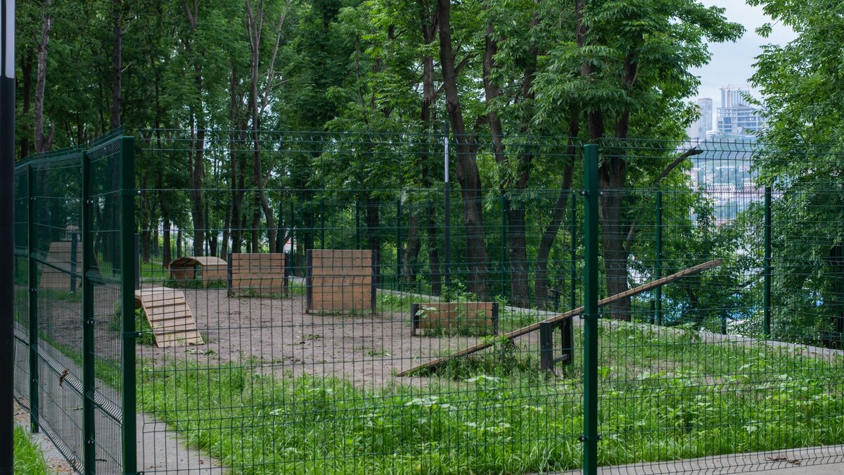    Специальные площадки для выгула и занятий с собаками — ещё несколько лет назад собаководы Владивостока могли только мечтать о чём-то подобном. А сегодня в краевом центре функционируют целых три площадки для хвостатых любимцев.