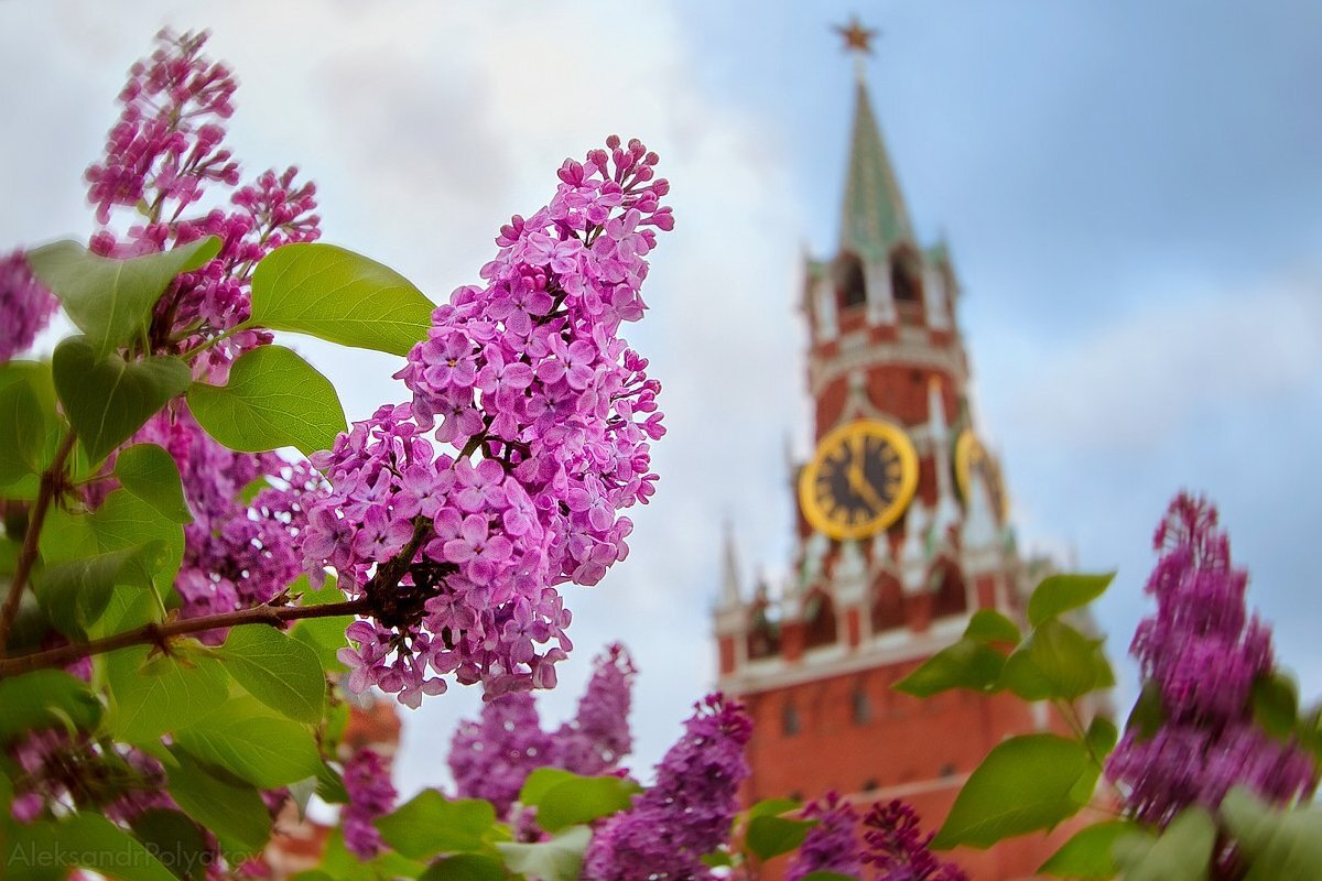 Фото из открытых источников