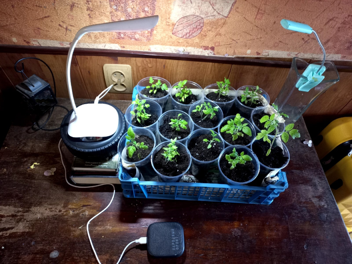 2022 год. Март.