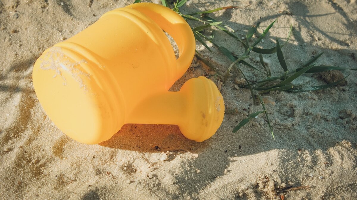     Страсти первой волны улеглись — теперь стало ясно, чей пляж, можно ли его посещать и сколько будет стоить люксовый отдых.