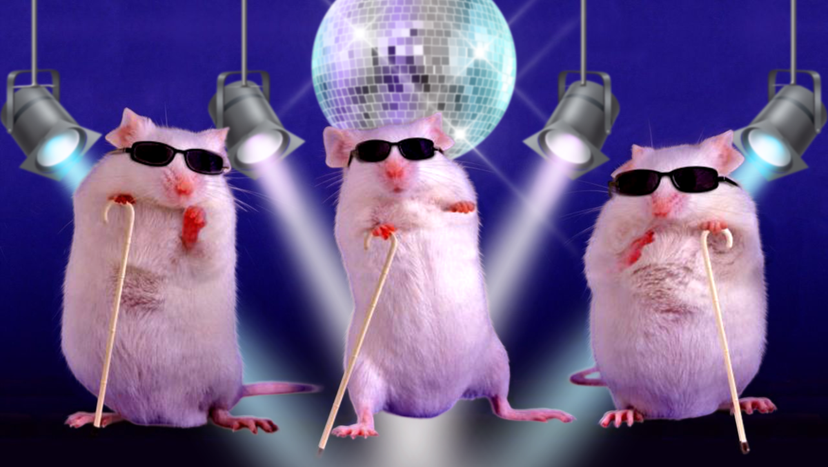 Поможет ли ультразвуковой отпугиватель крыс и мышей избавиться от грызунов?