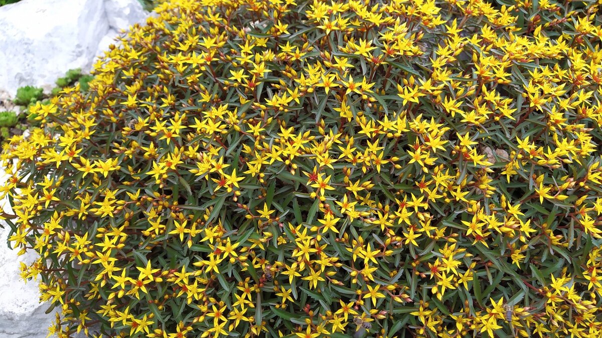     Граждане будут примерять на себя бикини, кто мини, кто подлиннее. Уж такая привычка у суровых жителей таежного края — чем теплее на улице, тем меньше одежды на них. Люди жаждут свободы, а тела, захороненные чуть ли не полгода в шубы свитера, хотят свежего воздуха. Сегодня Международный день бикини