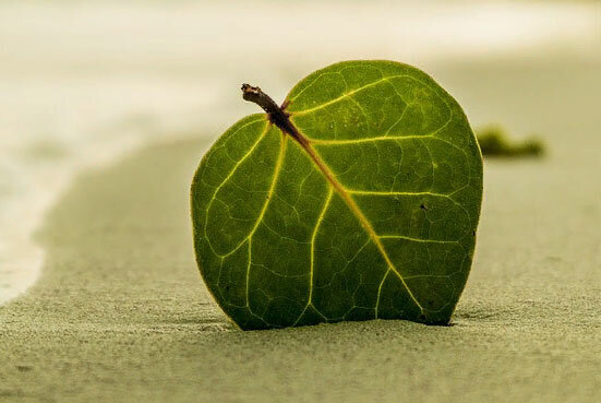 Фото: pixabay.com