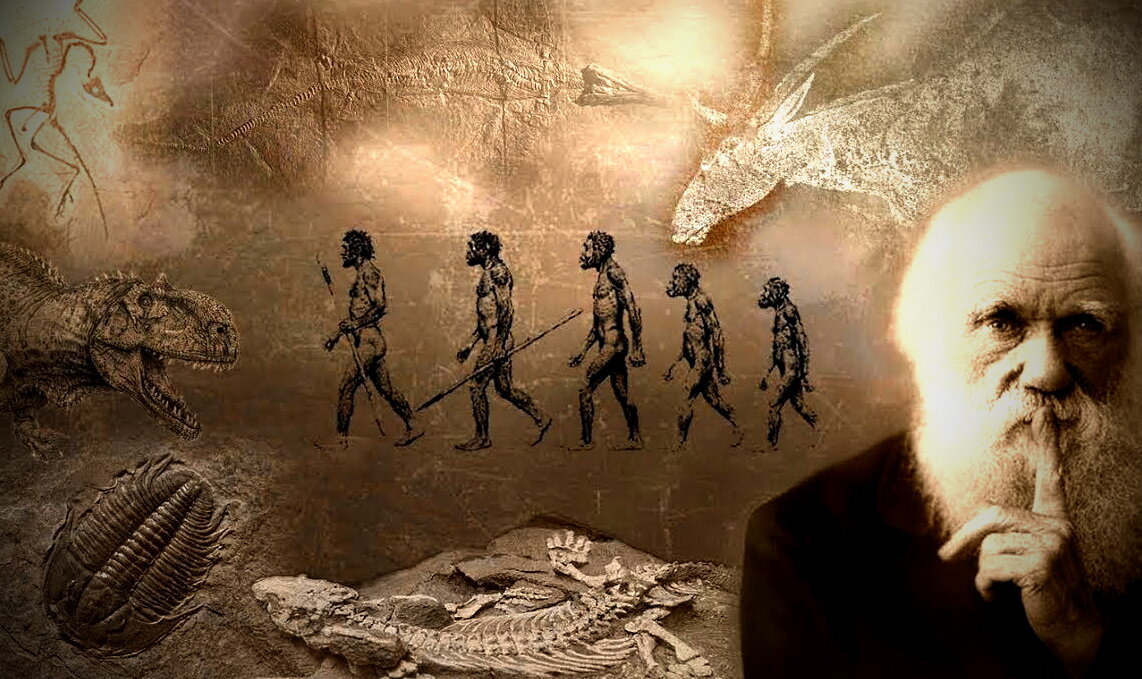 Теория Эволюции