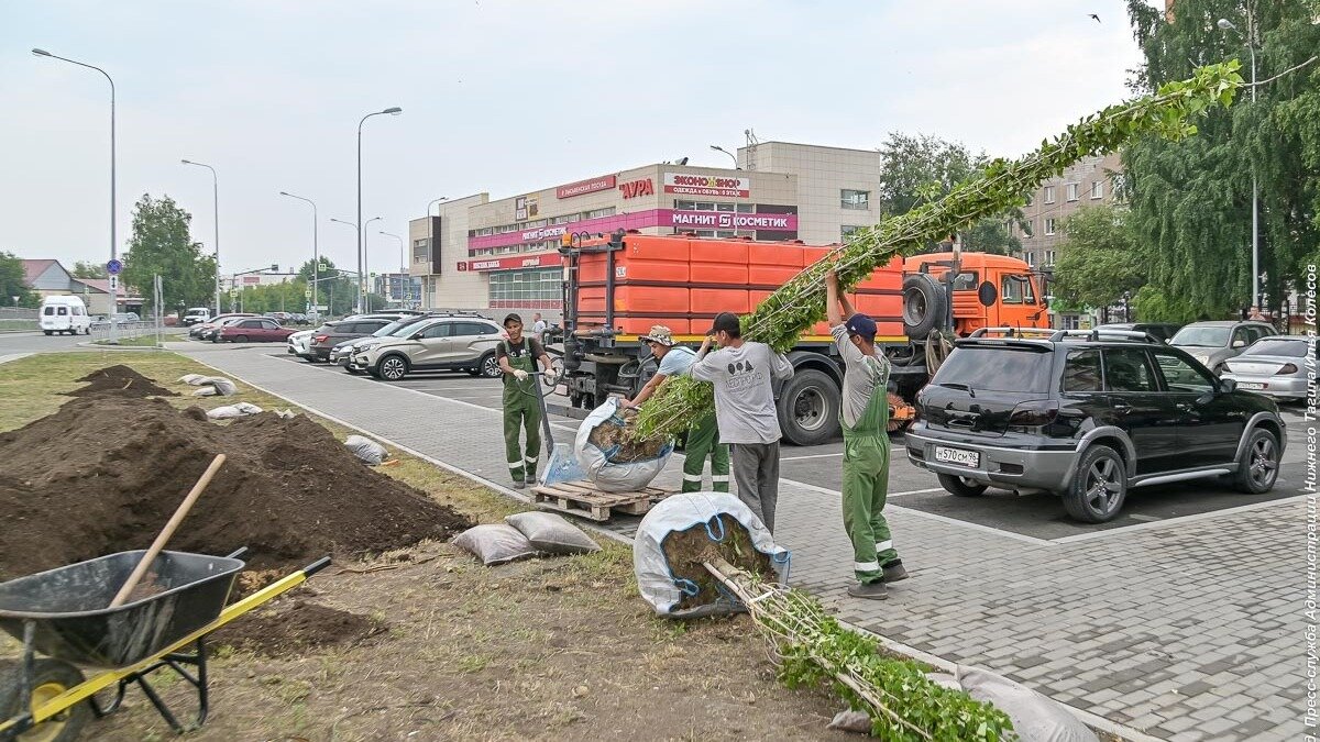 Город нижний тагил проект