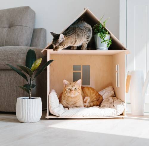 Как сделать двухэтажные домики для кошки из коробок