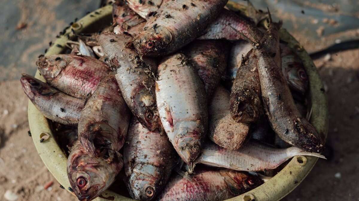   wolfstudiobkk/Shutterstock.com