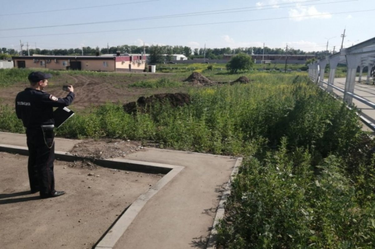    Полицейские ликвидировали более 1 га конопли на Калинина.
