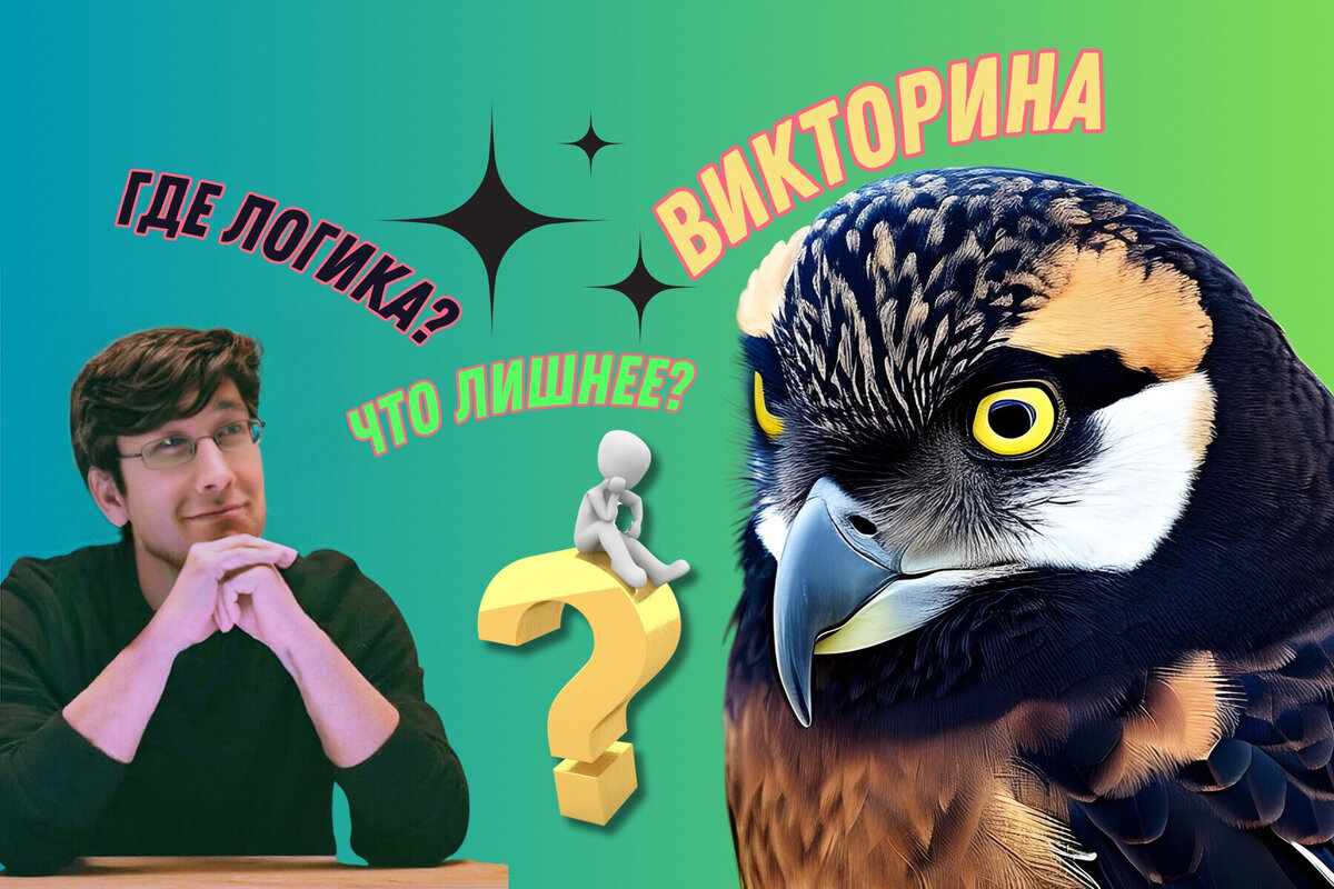 Викторина: где логика❓Строим ассоциации, отгадываем лишние объекты 🧑🏻‍🎓  | Эрудиция - познавательный канал | Дзен