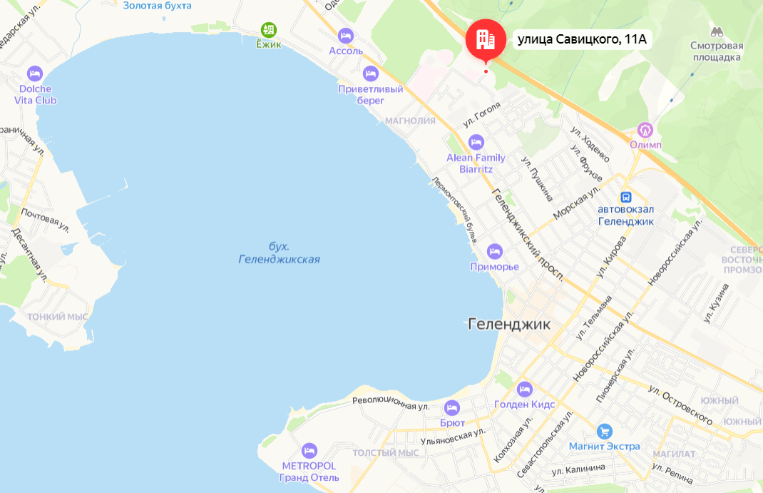 Магазины в геленджике на карте. Геленджикская бухта на карте. Карта Геленджика с улицами и домами. Карта Геленджика сверху