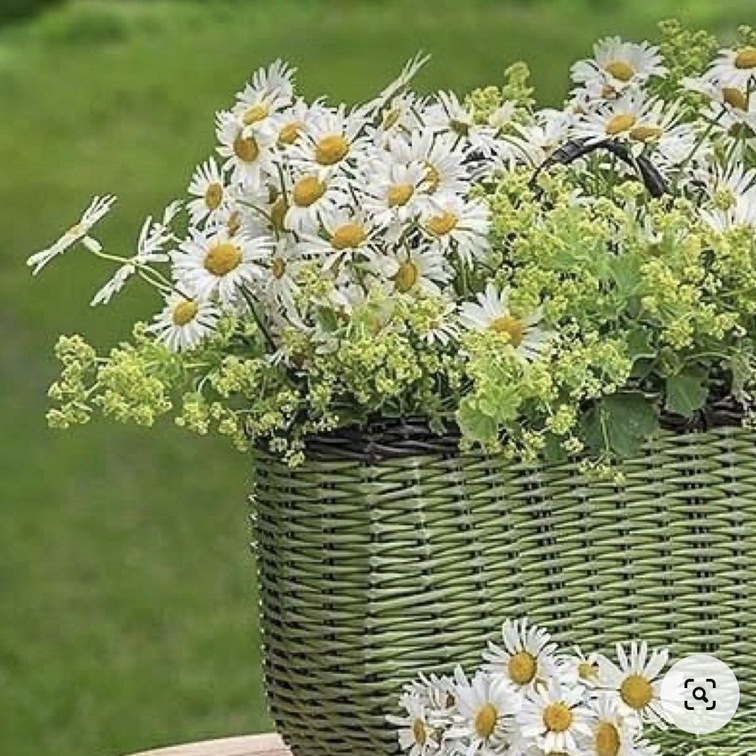 Фото из открытых источников интернета