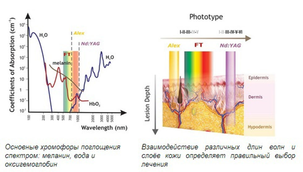 Длина волны света лазера. Спектры поглощения лазера меланин. Спектр поглощения лазерного излучения. Окно прозрачности биологических тканей для оптического излучения. Поглощение лазерного излучения тканями.