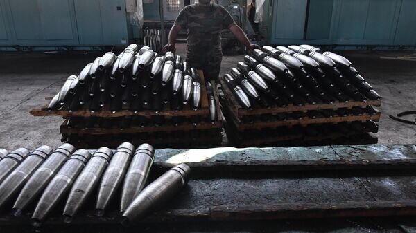    © РИА Новости . Михаил Воскресенский