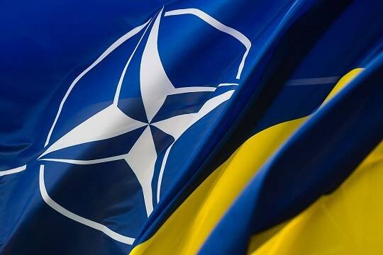   В Госдуме оценили слова Эрдогана о членстве Украины в НАТО