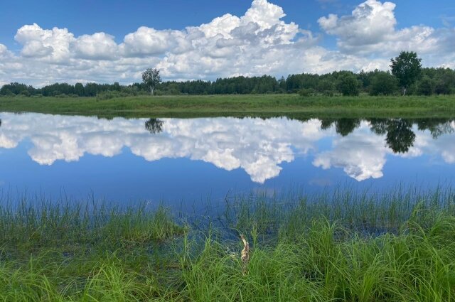    Озеро, в котором нашли тело 14-летнего пастуха. Фото: ГСУ СК по Красноярскому краю