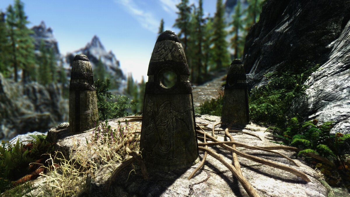 RealVision ENB