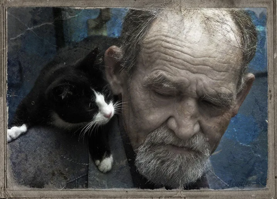 Черный кот и старик
