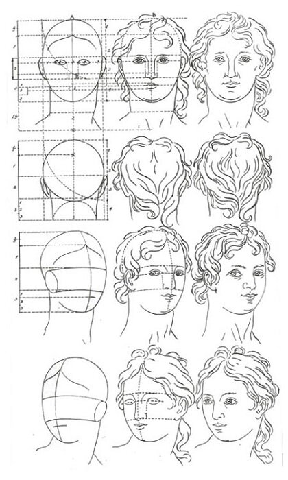 Методика портрет человека. Пропорции головы человека для рисования. Схема головы человека рисунок. Этапы рисования головы. Схема рисования портрета.
