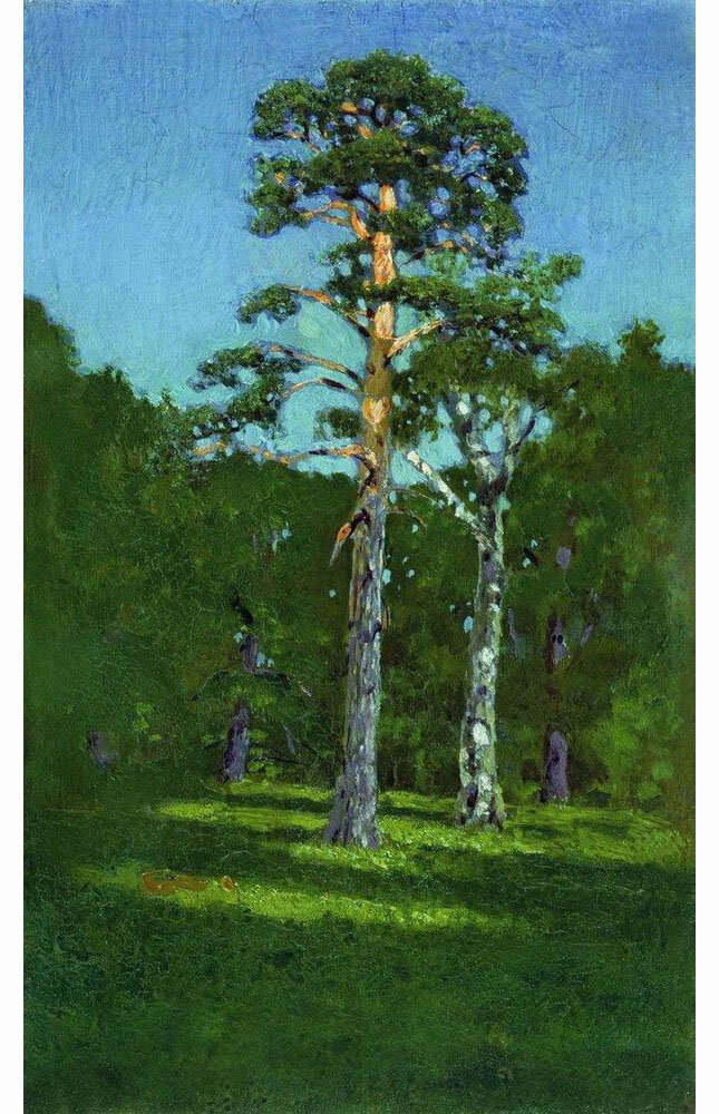 А. Куинджи "Сосна" 1878 г. Источник https://artchive.ru/arkhipkuindzhi/works/p:9