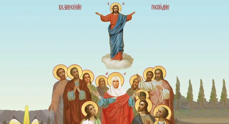 Источник фото: Яндекс Картинки