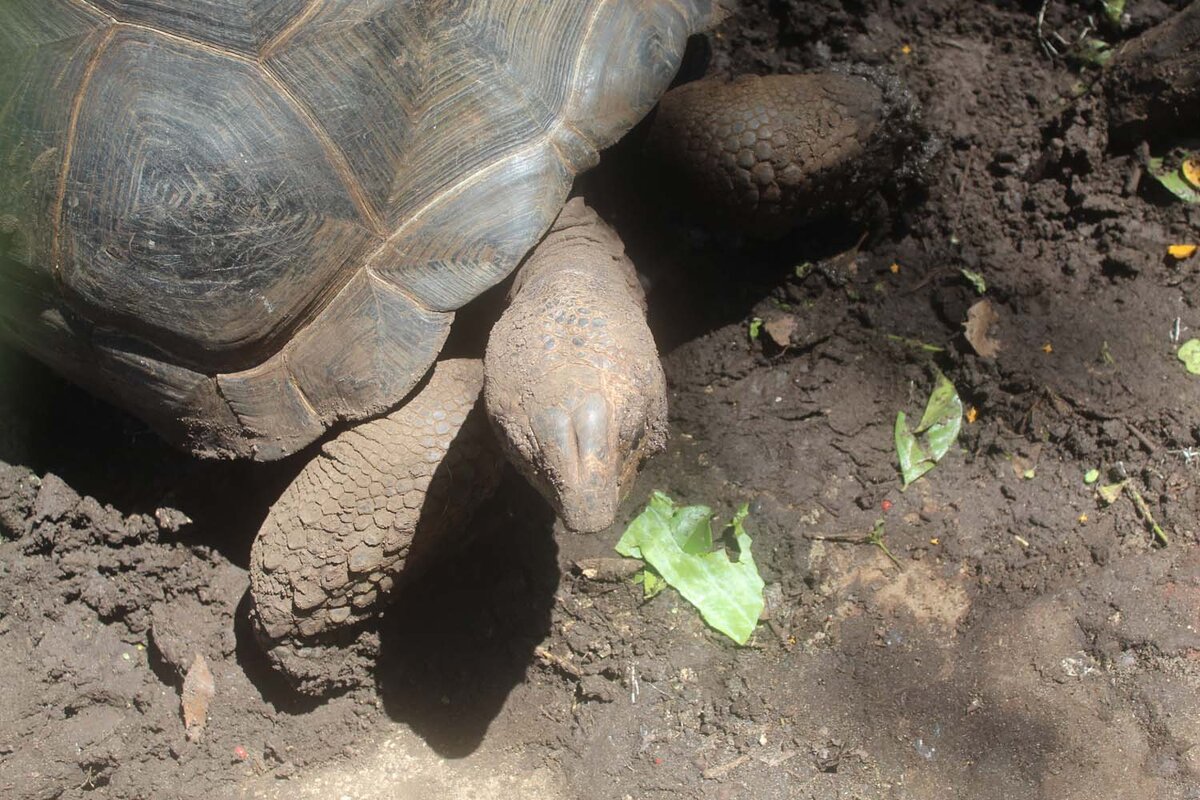 Собственно, вот