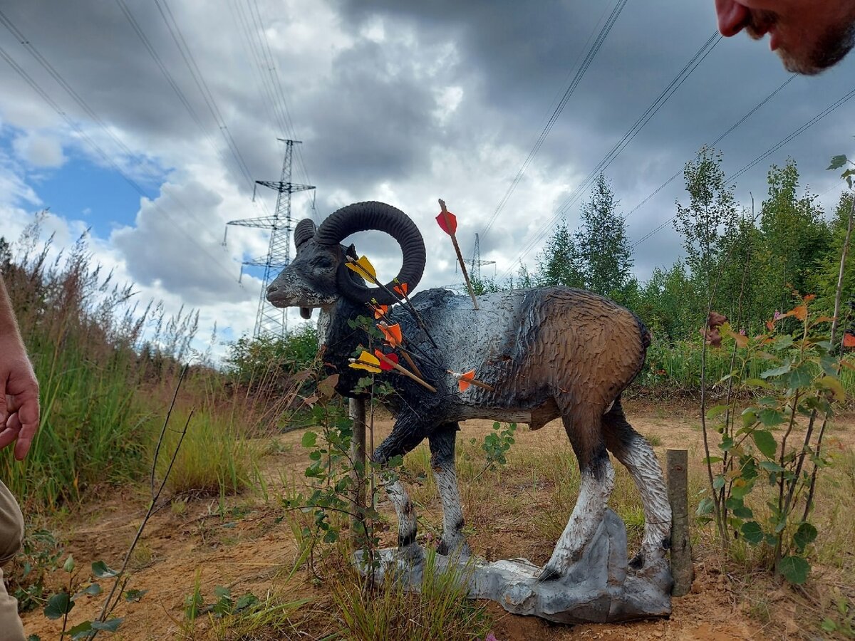 Тот самый горный козёл. Источник https://vk.com/archerycenter