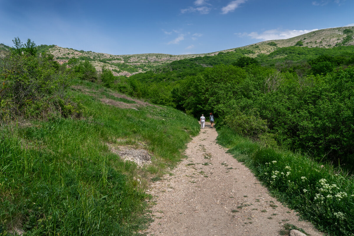 Начало дороги к водопаду.