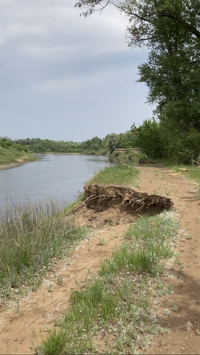 Вот эти опасные места в заповеднике Бузулукский бор Самарской области.