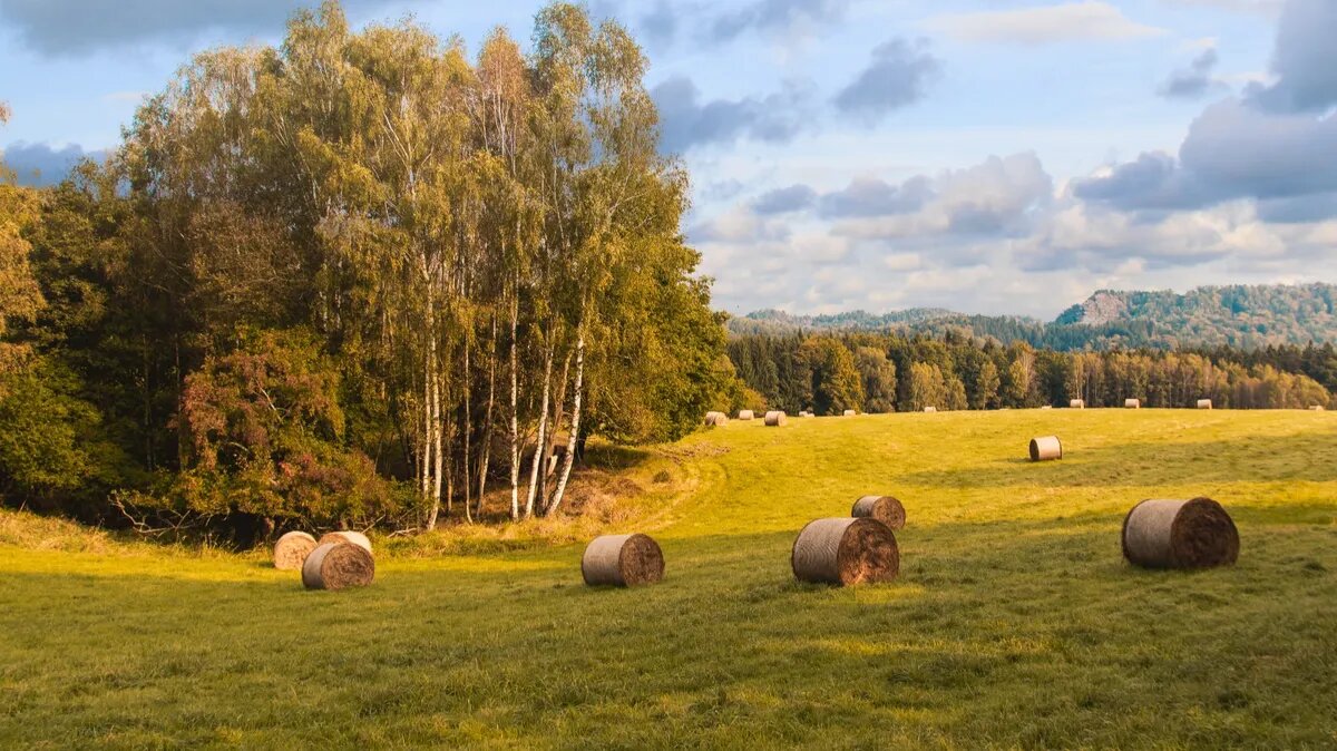 Какой будет погода в регионах России. Фото: www.piqsels.com