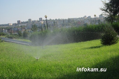 Волгоградскую область может ожидать сильная жара и засуха | Инфокам | Дзен