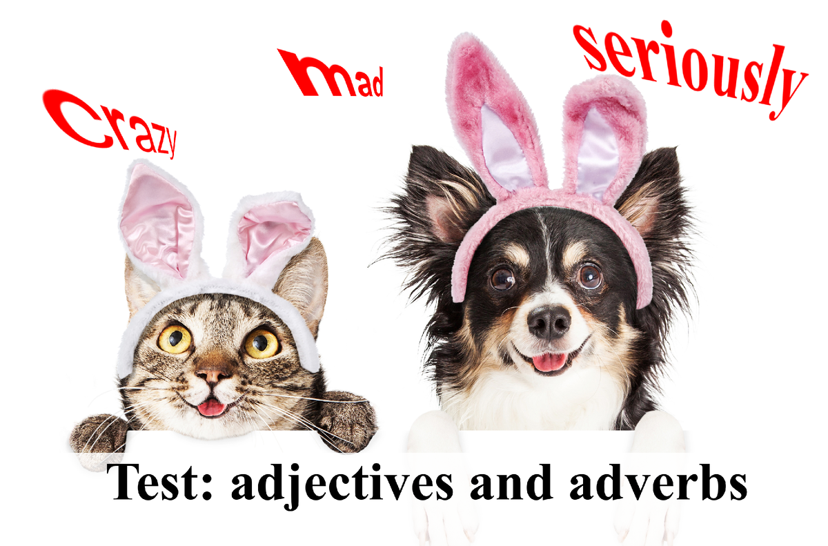 test-adjectives-and-adverbs-english-cats