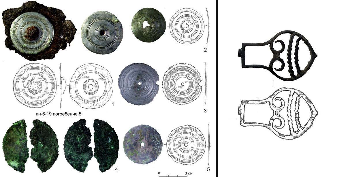     / Сибирский федеральный университет