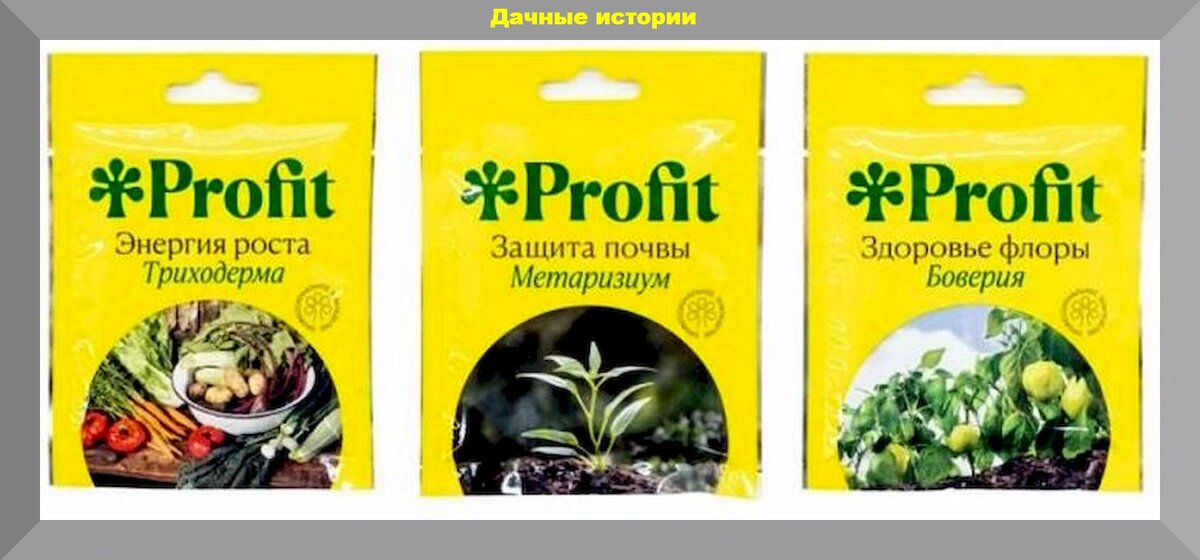 Фаскорд: для защиты растений от болезней