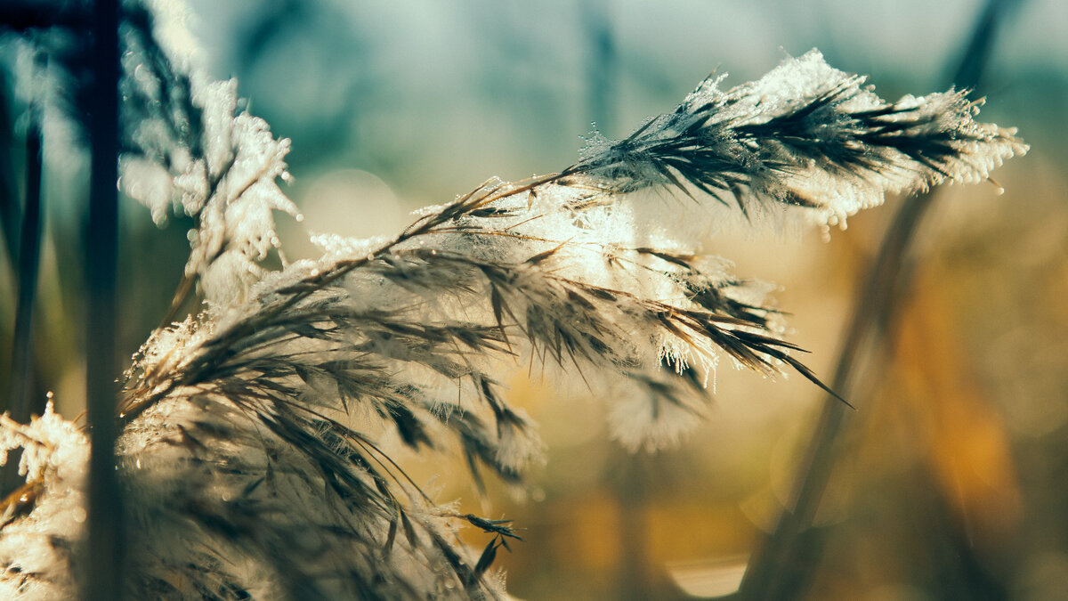     Синоптики выступили с предупреждением к жителям Карелии, информация появилась на сайте Гидрометцентра.