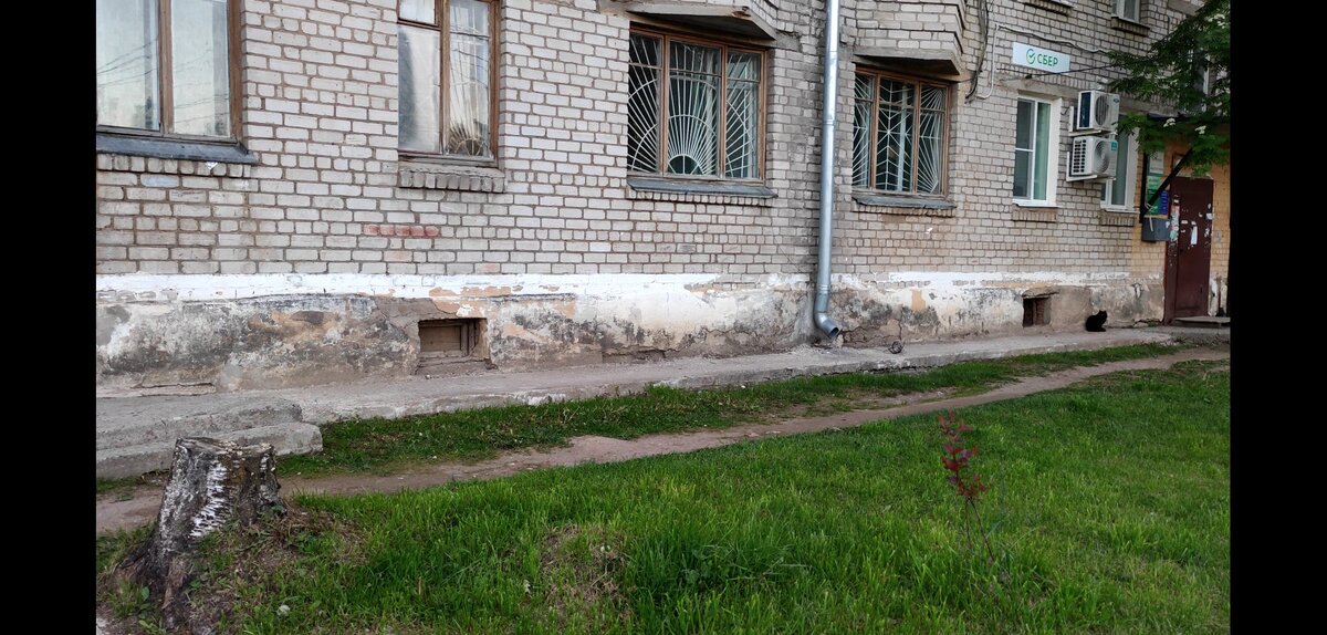 В подвале мы увидим, к чему приводит отмостка, которая не соответствует требованиям СНиП


Любое использование материалов допускается только при наличии гиперссылки
