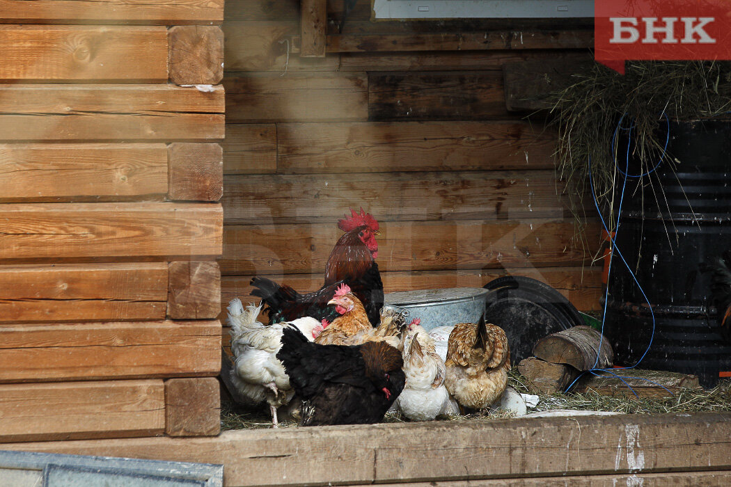 Фото Виктора Бобыря