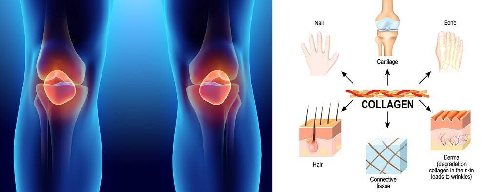 Как влияет коллаген на стул