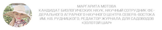    Можно ли выращивать огурцы в открытом грунте в Кировской области?