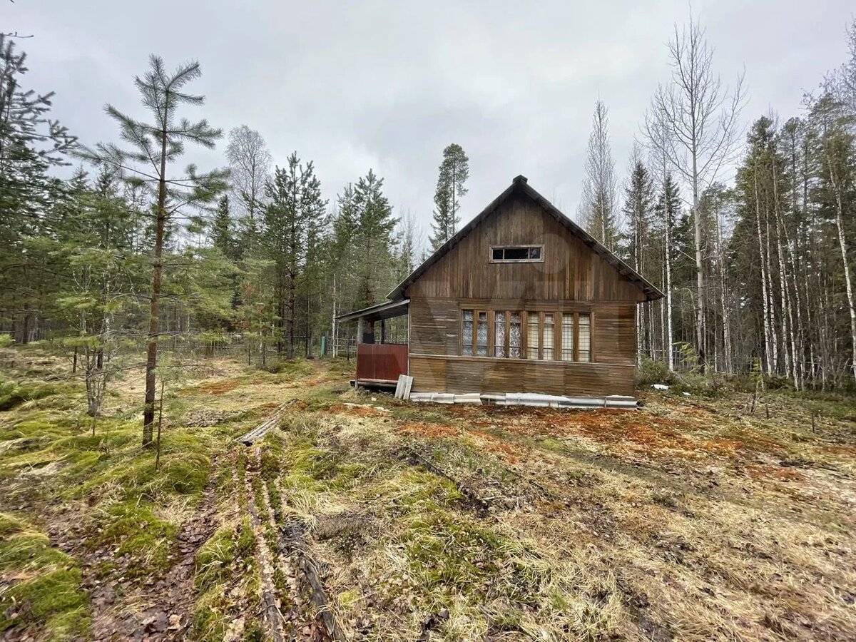 Фото из объявления