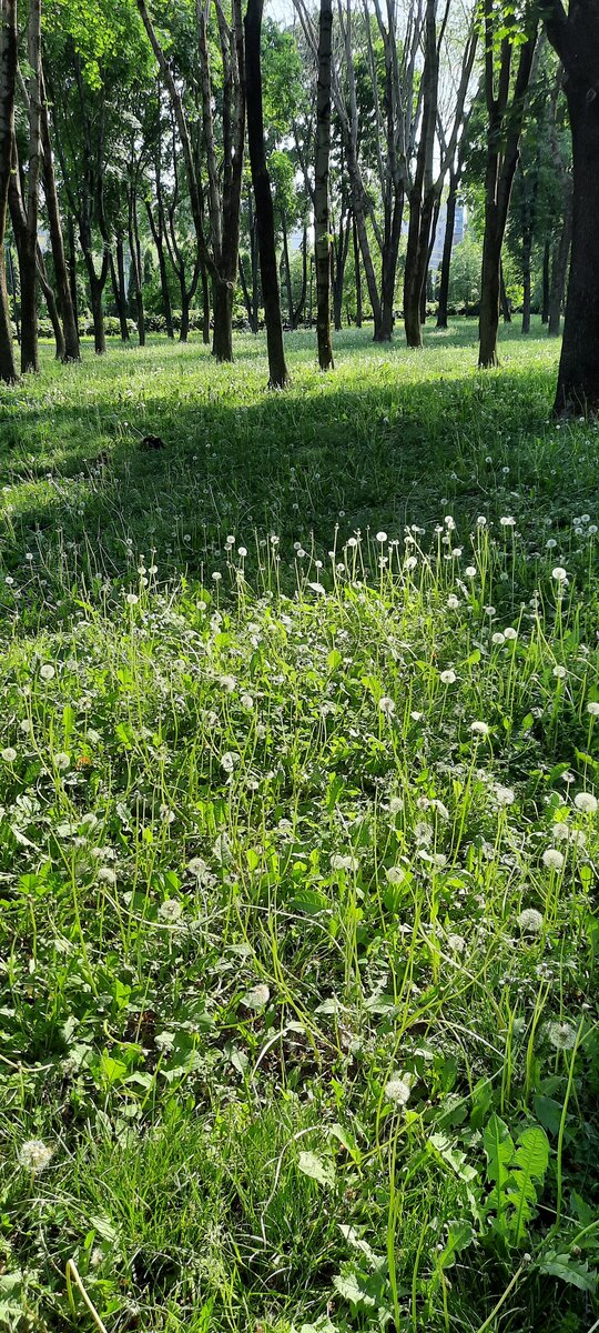 А у нас солнце и тепло