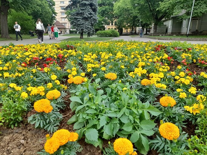 Рига, 31 мая 2023
