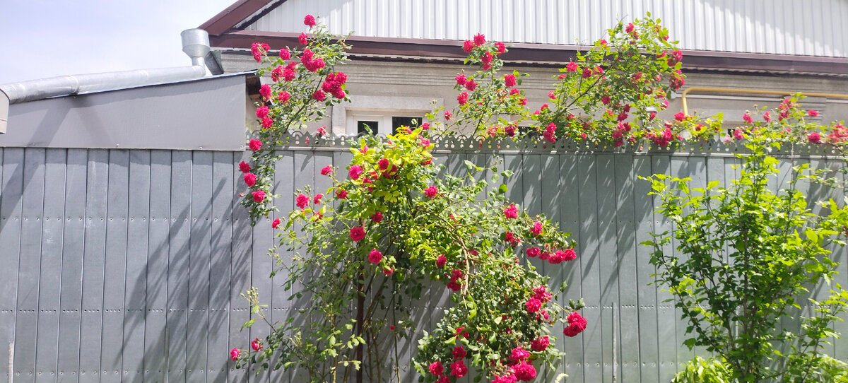 Фото автора канала