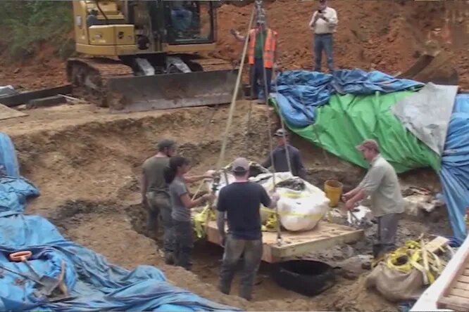 Фото с сайта Яндекс. Картинки