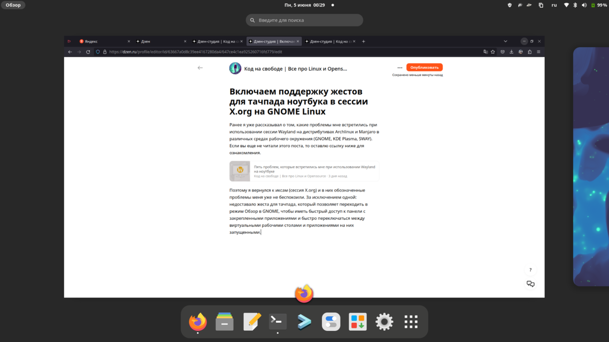 Режим ОБзор в DE GNOME 44
