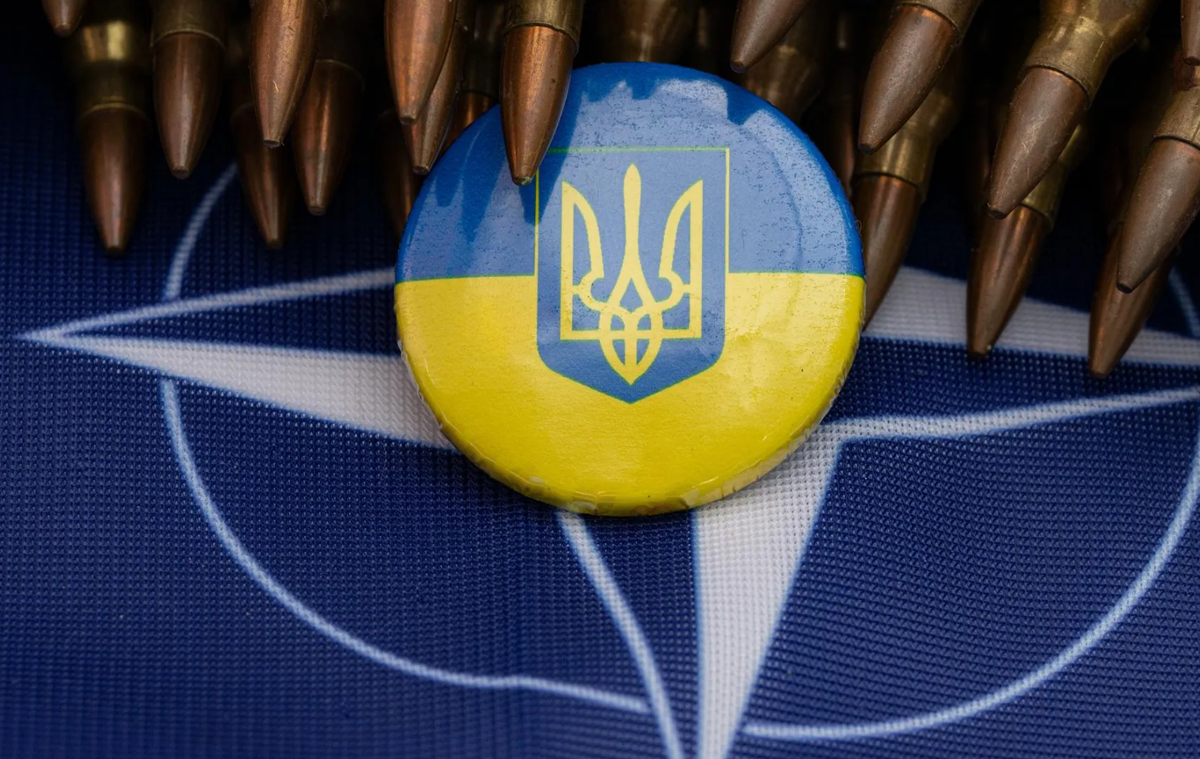    НАТО ссорится из-за скорейшего вступления Украины в альянс Марина П.
