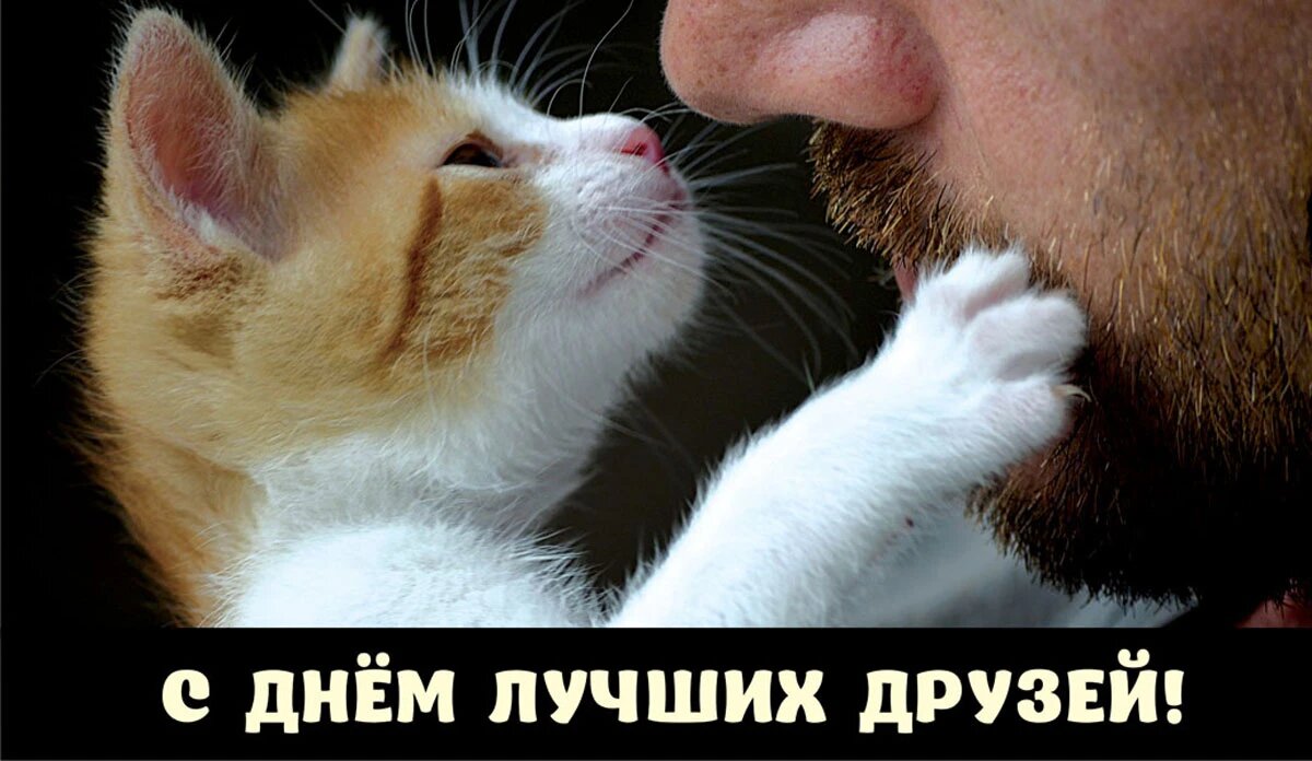 День лучших друзей. Иллюстрация: «Весь Искитим»