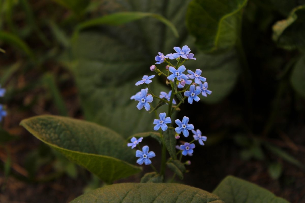    В Туле 8 июня прогнозируют небольшой дождь и до +25