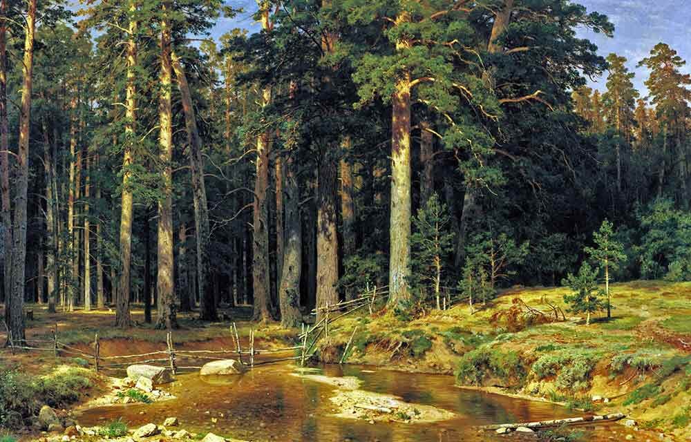 И. Шишкин. Корабельная роща. 1898. Изображение из открытых источников.