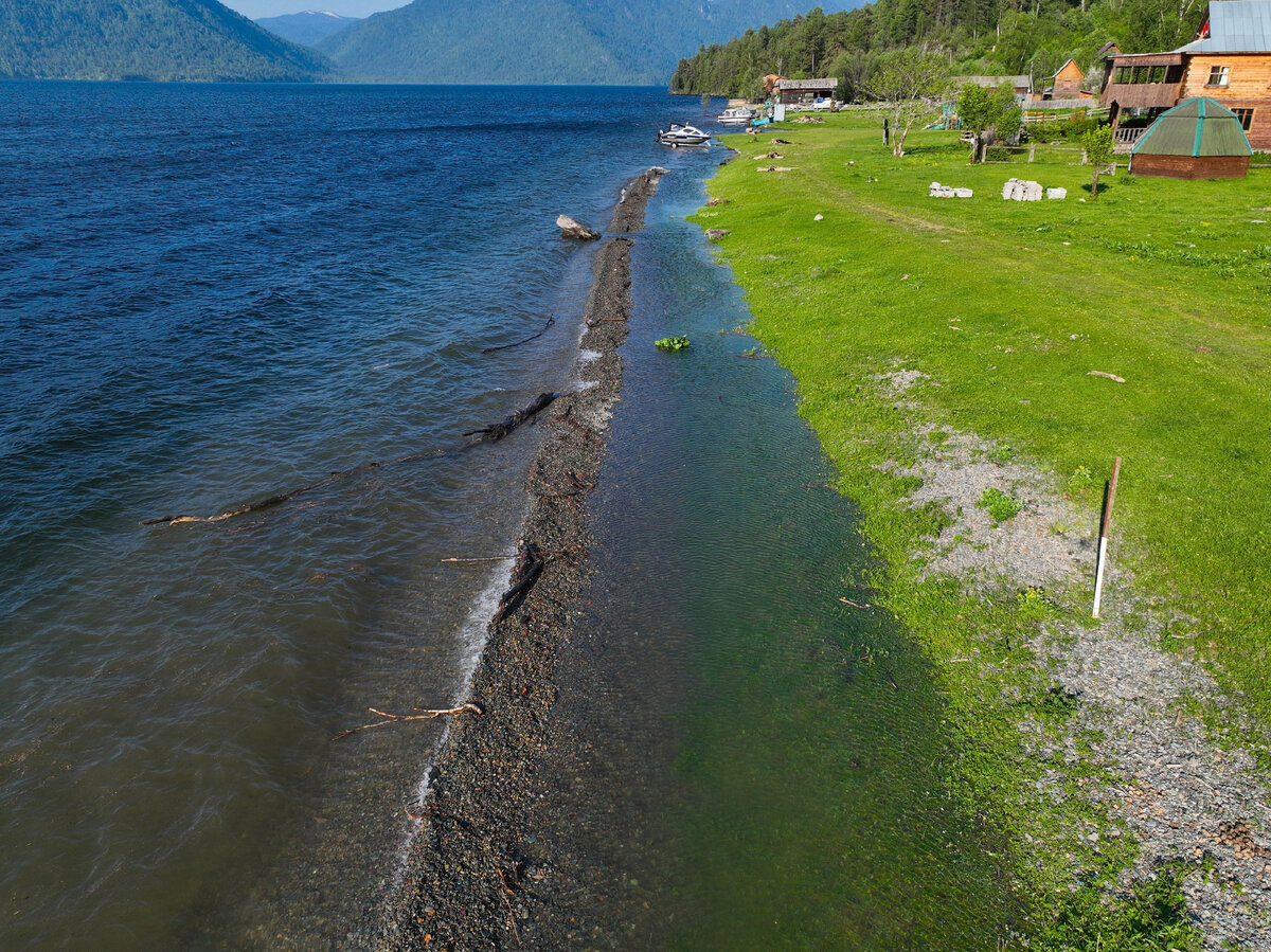 какая рыба водится в телецком озере горного алтая