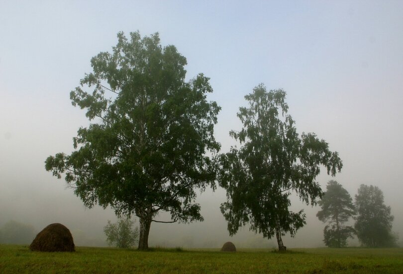 Фото: Рамиль Кильмаматов. 